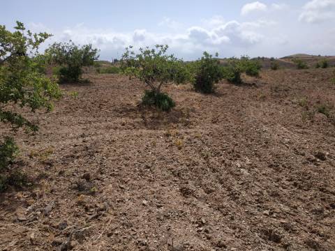 TERRENO COM 53.520 M2 - VISTA MAR - COM LAGO - POSSIBILIDADE DE CONSTRUIR - CAMPEIROS - CASTRO MARIM - ALGARVE