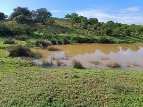 TERRENO COM 53.520 M2 - VISTA MAR - COM LAGO - POSSIBILIDADE DE CONSTRUIR - CAMPEIROS - CASTRO MARIM - ALGARVE