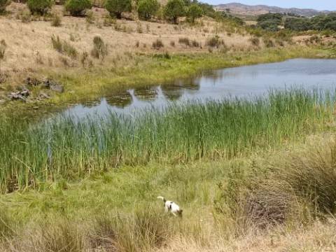TERRENO COM 53.520 M2 - VISTA MAR - COM LAGO - POSSIBILIDADE DE CONSTRUIR - CAMPEIROS - CASTRO MARIM - ALGARVE