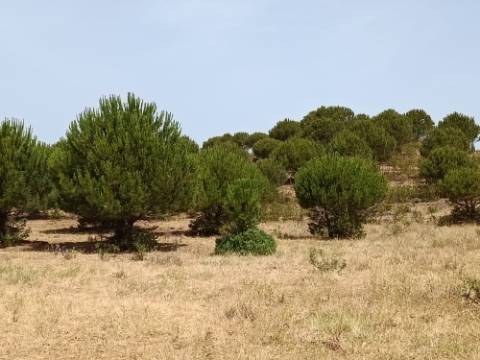 TERRENO COM 53.520 M2 - VISTA MAR - COM LAGO - POSSIBILIDADE DE CONSTRUIR - CAMPEIROS - CASTRO MARIM - ALGARVE