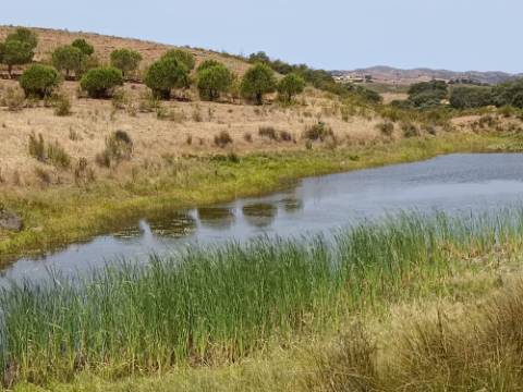 TERRENO COM 53.520 M2 - VISTA MAR - COM LAGO - POSSIBILIDADE DE CONSTRUIR - CAMPEIROS - CASTRO MARIM - ALGARVE