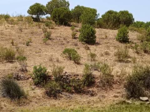 TERRENO COM 53.520 M2 - VISTA MAR - COM LAGO - POSSIBILIDADE DE CONSTRUIR - CAMPEIROS - CASTRO MARIM - ALGARVE
