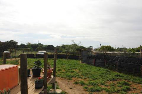 Terreno Rústico em Luz de Tavira
