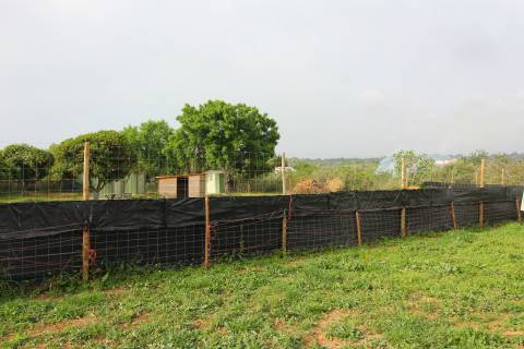 Terreno Rústico em Luz de Tavira