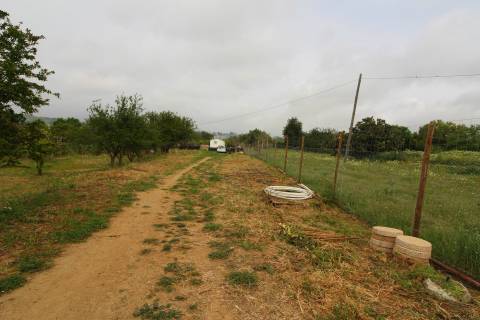 Terreno Rústico em Luz de Tavira