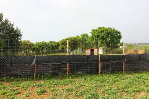 Terreno Rústico em Luz de Tavira