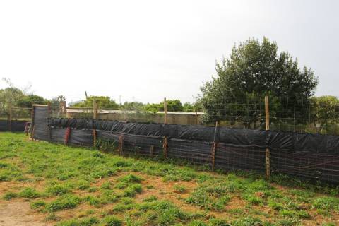 Terreno Rústico em Luz de Tavira