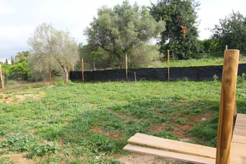 Terreno Rústico em Luz de Tavira