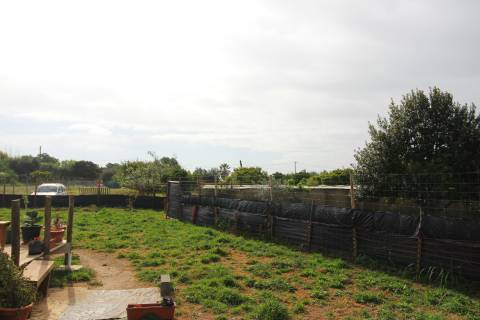 Terreno Rústico em Luz de Tavira