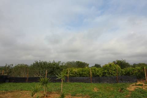 Terreno Rústico em Luz de Tavira