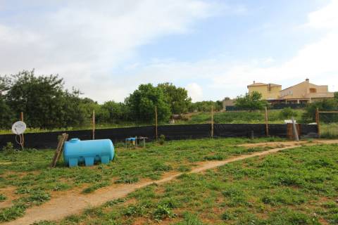 Terreno Rústico em Luz de Tavira