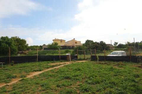 Terreno Rústico em Luz de Tavira
