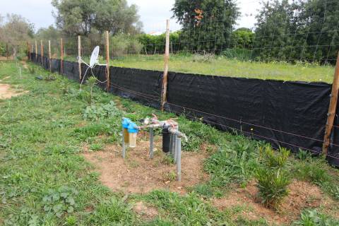 Terreno Rústico em Luz de Tavira