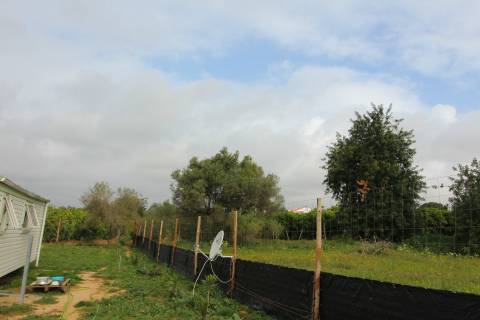 Terreno Rústico em Luz de Tavira
