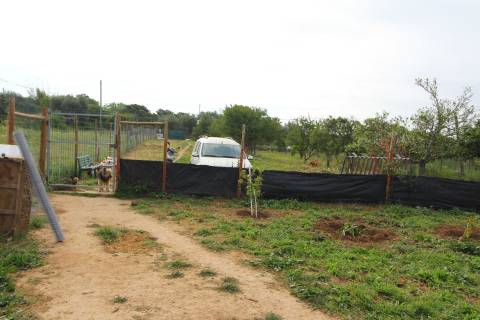 Terreno Rústico em Luz de Tavira