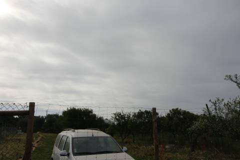 Terreno Rústico em Luz de Tavira