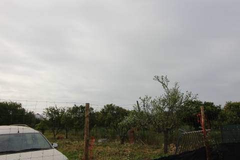 Terreno Rústico em Luz de Tavira