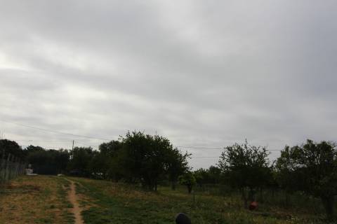 Terreno Rústico em Luz de Tavira