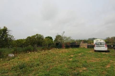Terreno Rústico em Luz de Tavira