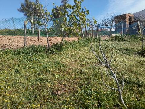 Excelente oportunidade! terreno urbano com 7.880m2 em Portela Alta de Cima, Odeleite.