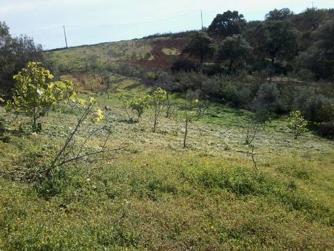 Excelente oportunidade! terreno urbano com 7.880m2 em Portela Alta de Cima, Odeleite.