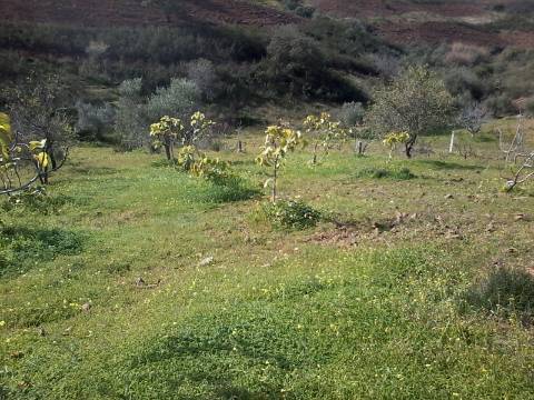 Excelente oportunidade! terreno urbano com 7.880m2 em Portela Alta de Cima, Odeleite.