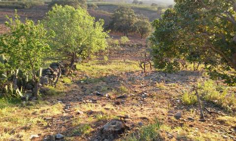 Excelente oportunidade! terreno urbano com 7.880m2 em Portela Alta de Cima, Odeleite.