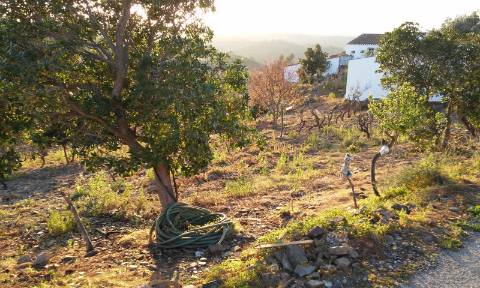 Excelente oportunidade! terreno urbano com 7.880m2 em Portela Alta de Cima, Odeleite.
