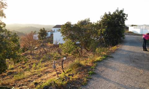 Excelente oportunidade! terreno urbano com 7.880m2 em Portela Alta de Cima, Odeleite.