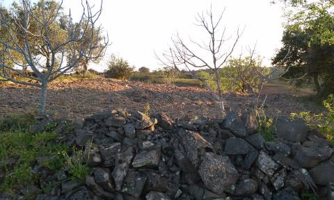 Excelente oportunidade! terreno urbano com 7.880m2 em Portela Alta de Cima, Odeleite.