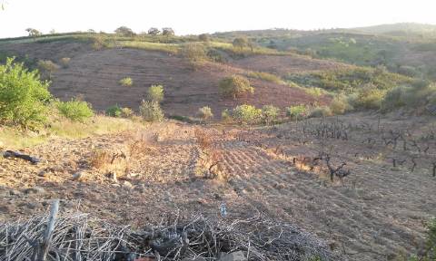Excelente oportunidade! terreno urbano com 7.880m2 em Portela Alta de Cima, Odeleite.