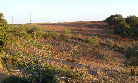 Excelente oportunidade! terreno urbano com 7.880m2 em Portela Alta de Cima, Odeleite.