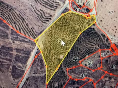 TERRENO COM 15.280 M2 - POSSIBILIDADE DE CONSTRUÇÃO - MURTEIRA - AZINHAL - CASTRO MARIM - ALGARVE