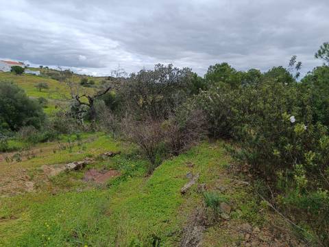 TERRENO COM 15.280 M2 - POSSIBILIDADE DE CONSTRUÇÃO - MURTEIRA - AZINHAL - CASTRO MARIM - ALGARVE
