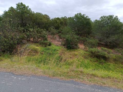 TERRENO COM 15.280 M2 - POSSIBILIDADE DE CONSTRUÇÃO - MURTEIRA - AZINHAL - CASTRO MARIM - ALGARVE