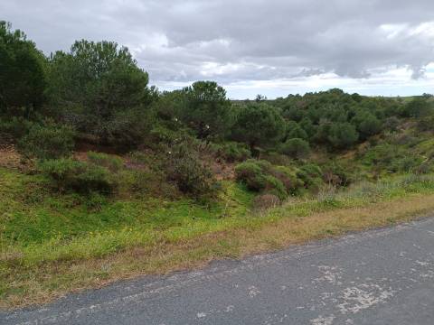 TERRENO COM 15.280 M2 - POSSIBILIDADE DE CONSTRUÇÃO - MURTEIRA - AZINHAL - CASTRO MARIM - ALGARVE