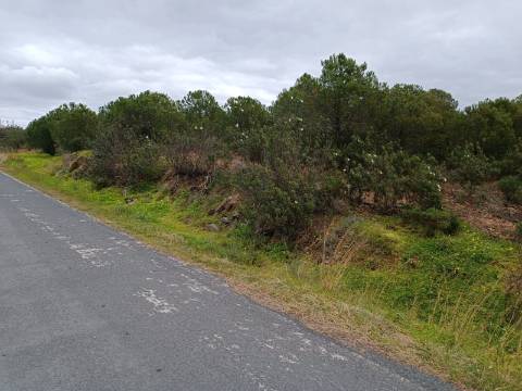 TERRENO COM 15.280 M2 - POSSIBILIDADE DE CONSTRUÇÃO - MURTEIRA - AZINHAL - CASTRO MARIM - ALGARVE