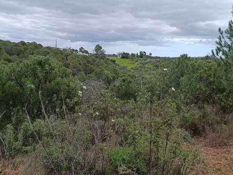 TERRENO COM 15.280 M2 - POSSIBILIDADE DE CONSTRUÇÃO - MURTEIRA - AZINHAL - CASTRO MARIM - ALGARVE
