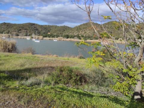 TERRENO RUSTICO COM 10.560 M2 - JUNTO AO RIO GUADIANA - LARANJEIRAS - ALCOUTIM
