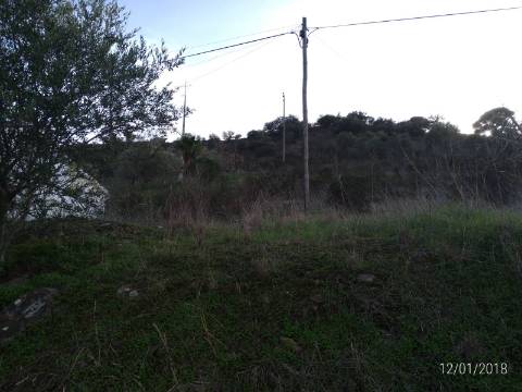 TERRENO RUSTICO COM 10.560 M2 - JUNTO AO RIO GUADIANA - LARANJEIRAS - ALCOUTIM