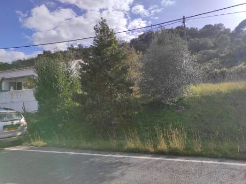 TERRENO RUSTICO COM 10.560 M2 - JUNTO AO RIO GUADIANA - LARANJEIRAS - ALCOUTIM