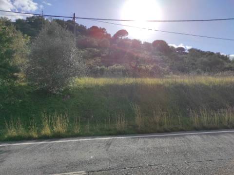 TERRENO RUSTICO COM 10.560 M2 - JUNTO AO RIO GUADIANA - LARANJEIRAS - ALCOUTIM