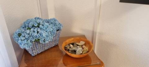 Apartamento T2 em Altura para arrendamento de Outubro a Maio