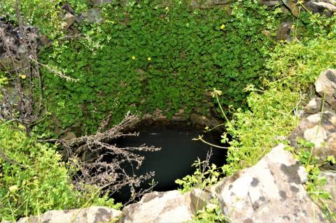 Terreno Rústico próximo de Santa Catarina da Fonte do Bispo
