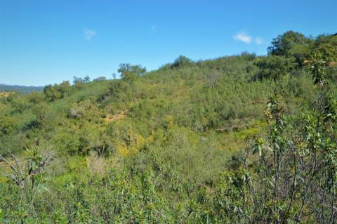 Terreno Rústico próximo de Santa Catarina da Fonte do Bispo