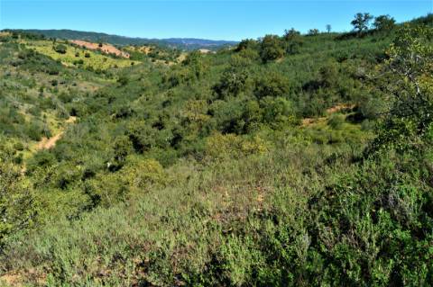 Terreno Rústico próximo de Santa Catarina da Fonte do Bispo