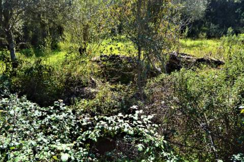 Terreno Rústico próximo de Santa Catarina da Fonte do Bispo