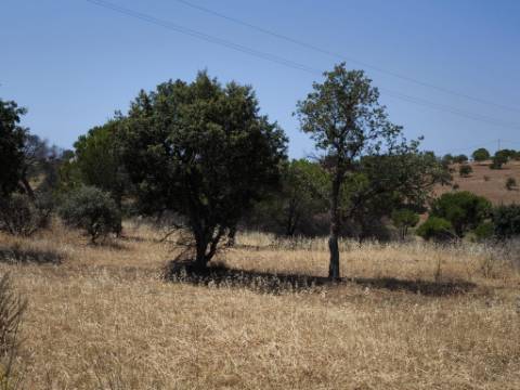 RUINA COM TERRENO - COM PIP APROVADO PARA MORADIA T3 COM PISCINA - VISTA MAR - VILA NOVA DE CACELA - VRSA - ALGARVE