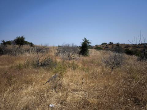 RUINA COM TERRENO - COM PIP APROVADO PARA MORADIA T3 COM PISCINA - VISTA MAR - VILA NOVA DE CACELA - VRSA - ALGARVE