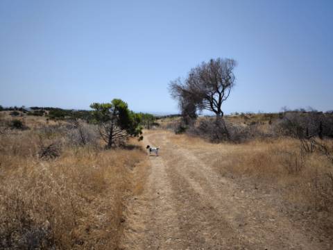 RUINA COM TERRENO - COM PIP APROVADO PARA MORADIA T3 COM PISCINA - VISTA MAR - VILA NOVA DE CACELA - VRSA - ALGARVE